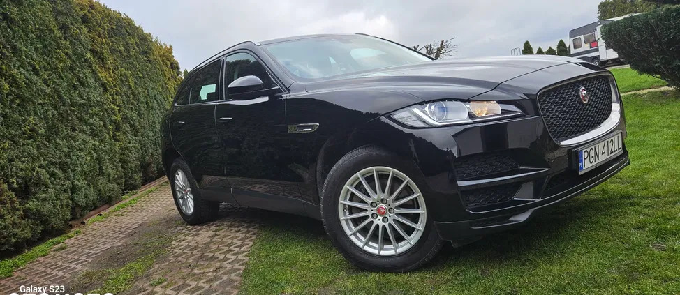 jaguar Jaguar F-Pace cena 102900 przebieg: 125150, rok produkcji 2018 z Trzemeszno